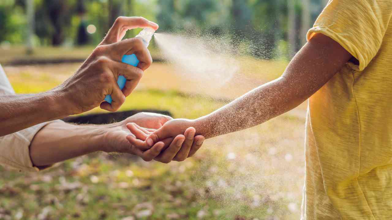 Best insect repellent sprays