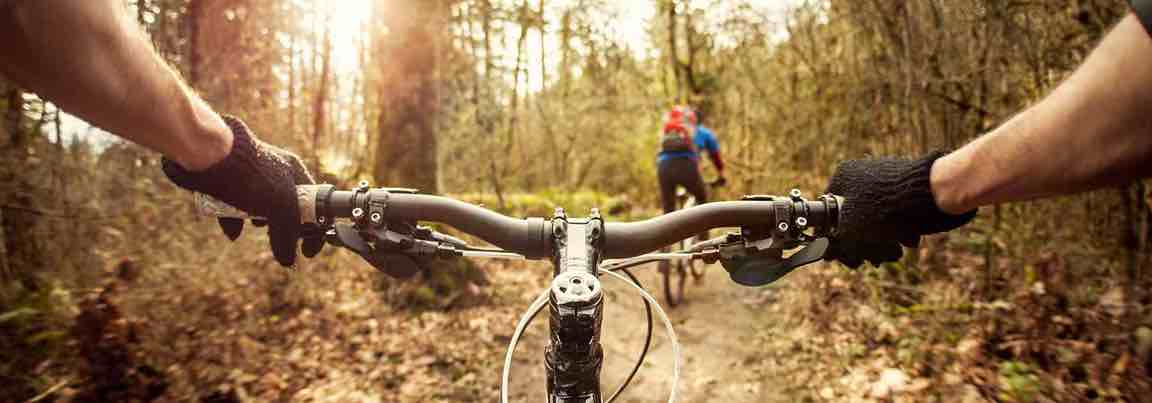 Get your tick borne encephalitis vaccine