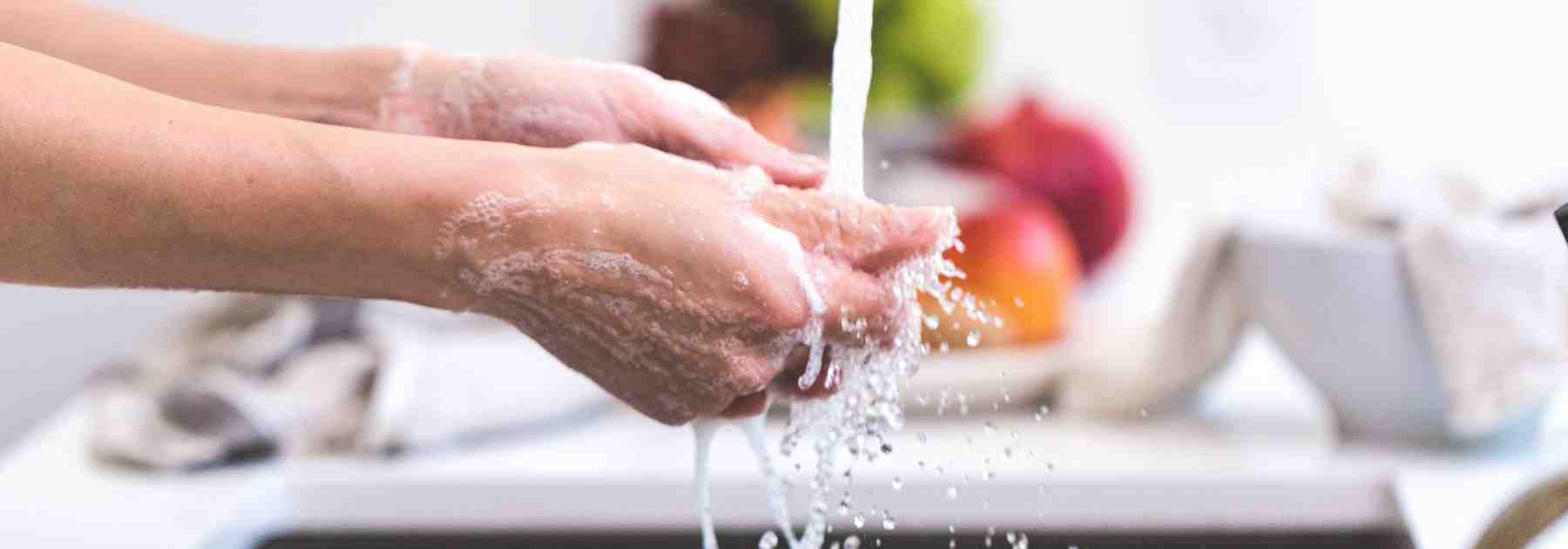 The typhoid vaccine for salmonella typhi